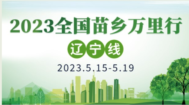 2023?????????????